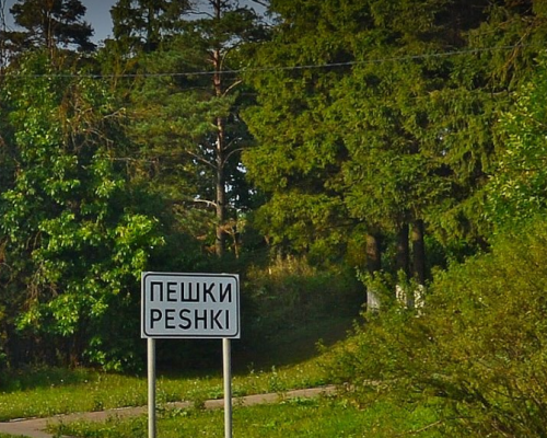 Высокоскоростной интернет теперь в д. Пешки!