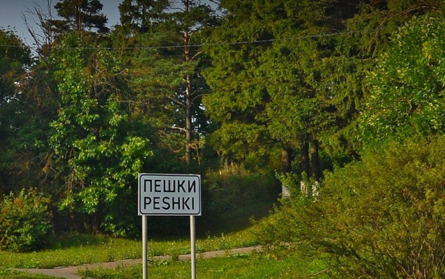 Высокоскоростной интернет теперь в д. Пешки!